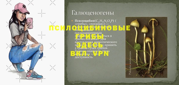 MESCALINE Заводоуковск